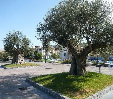 Bed & Breakfast Il Tulipano 5*