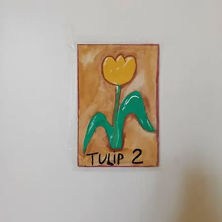 Il Tulipano Bed & Breakfast Colli di Fontanelle